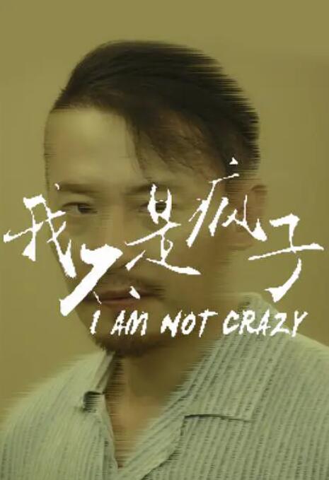 我不是疯子海报